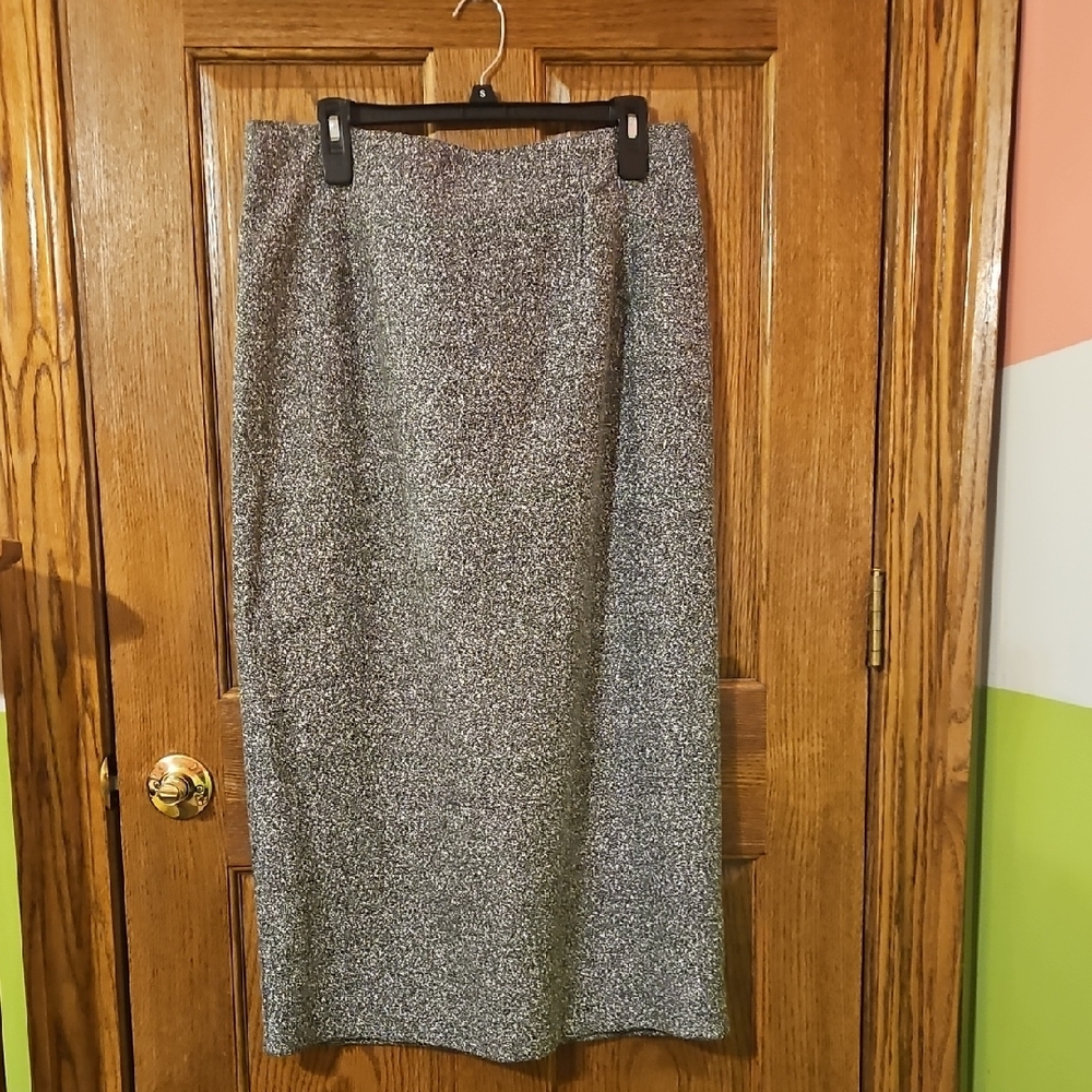NWT Briggs Skirt